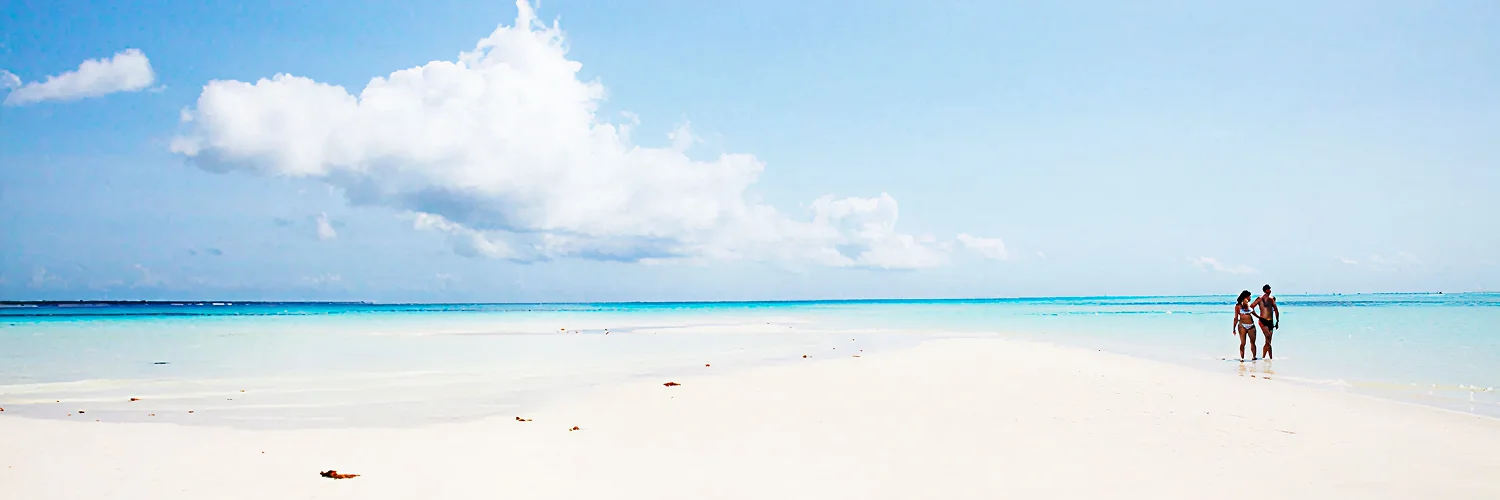 package hotel listing